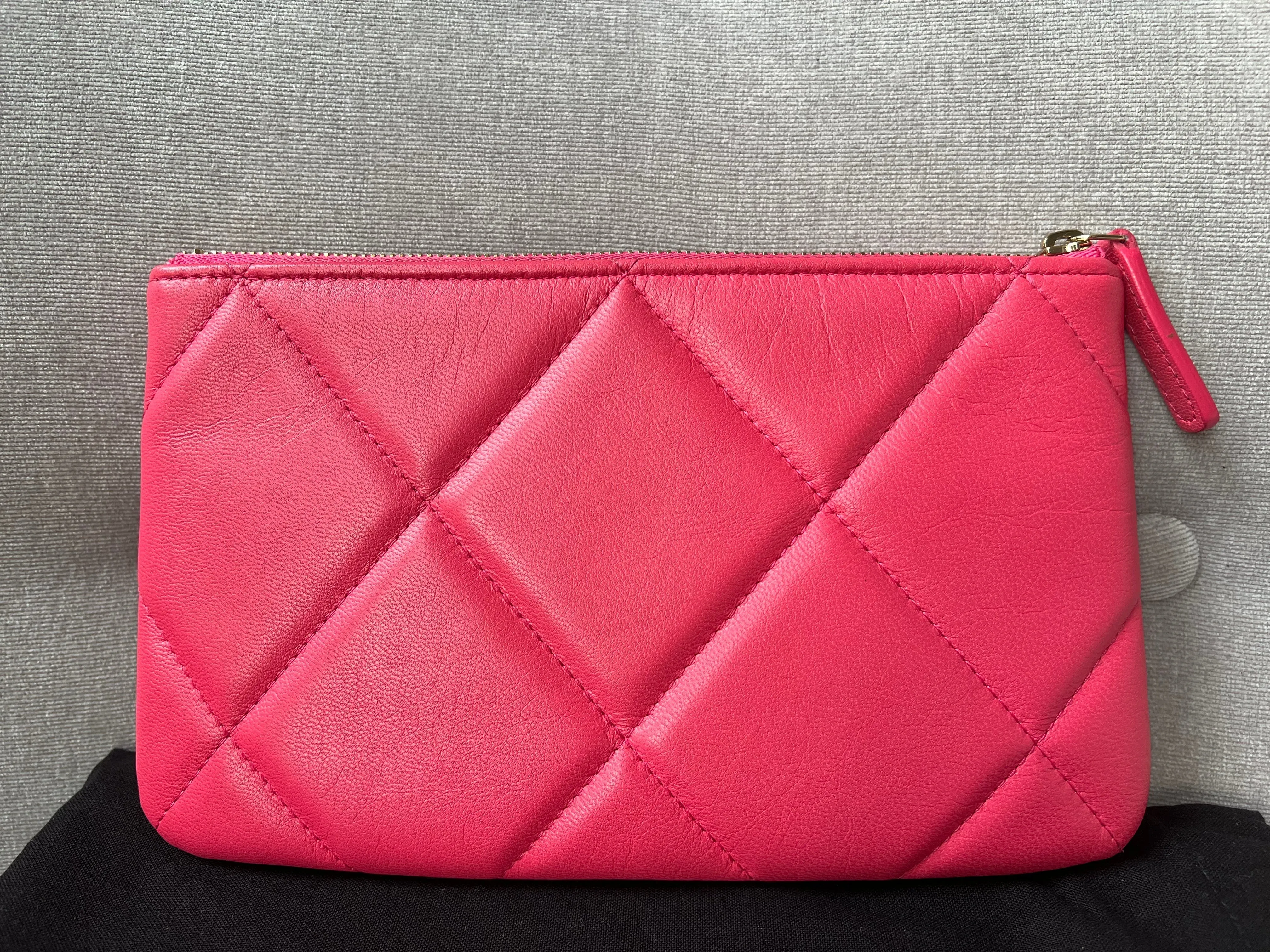 Chanel 19 Pink Small Ocase