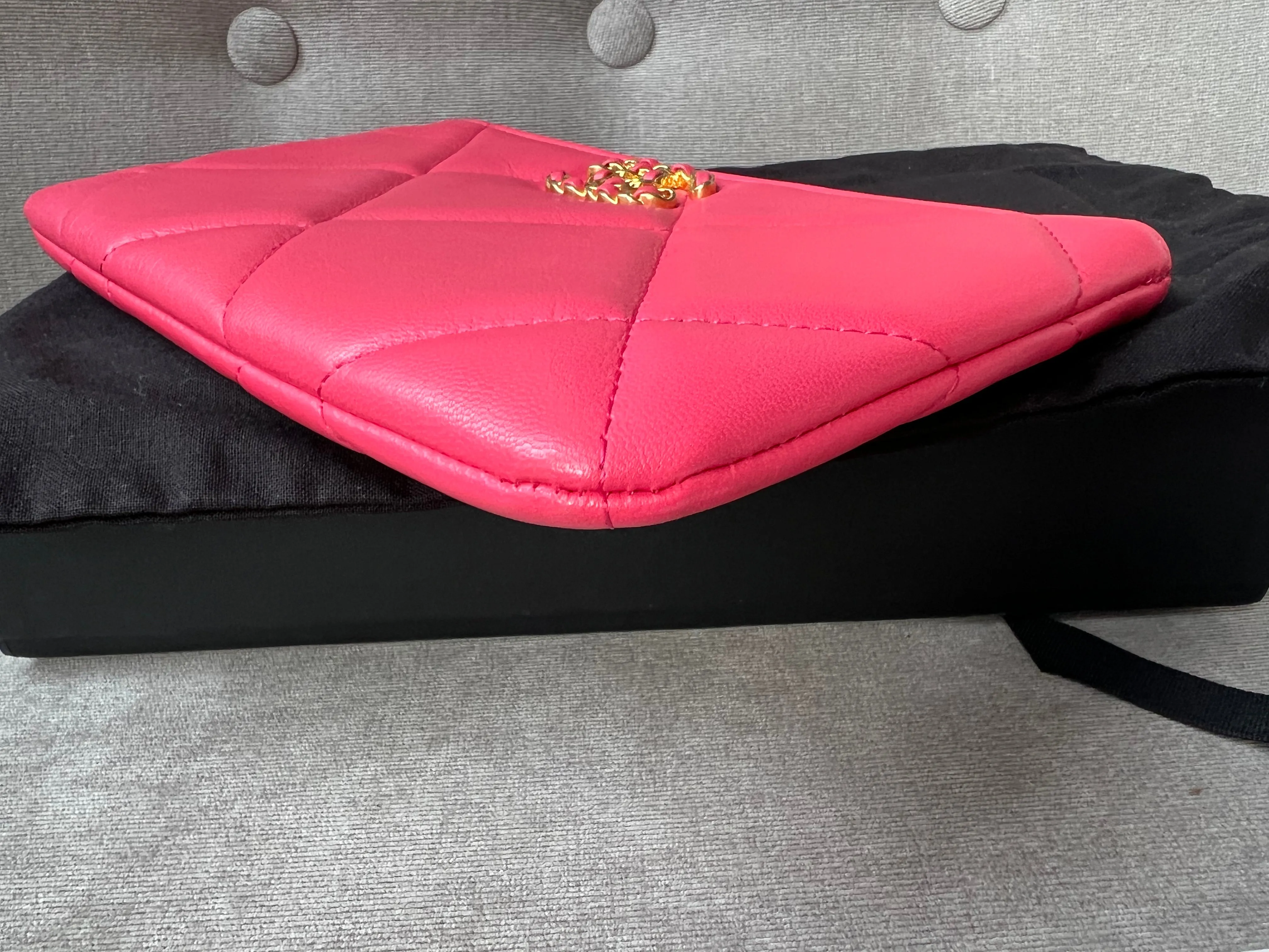 Chanel 19 Pink Small Ocase